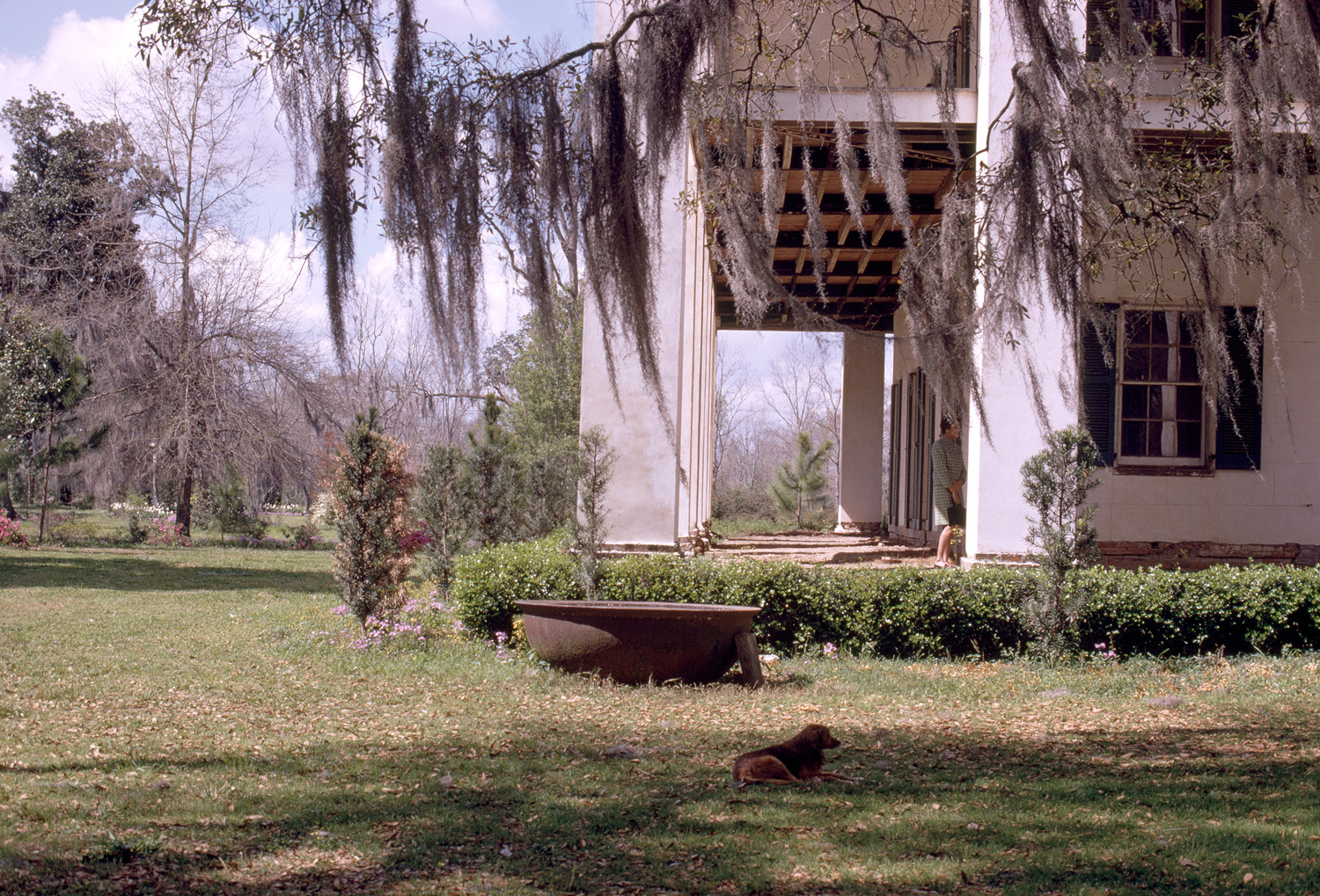 ashland-belle-helene-plantation-mit-libraries