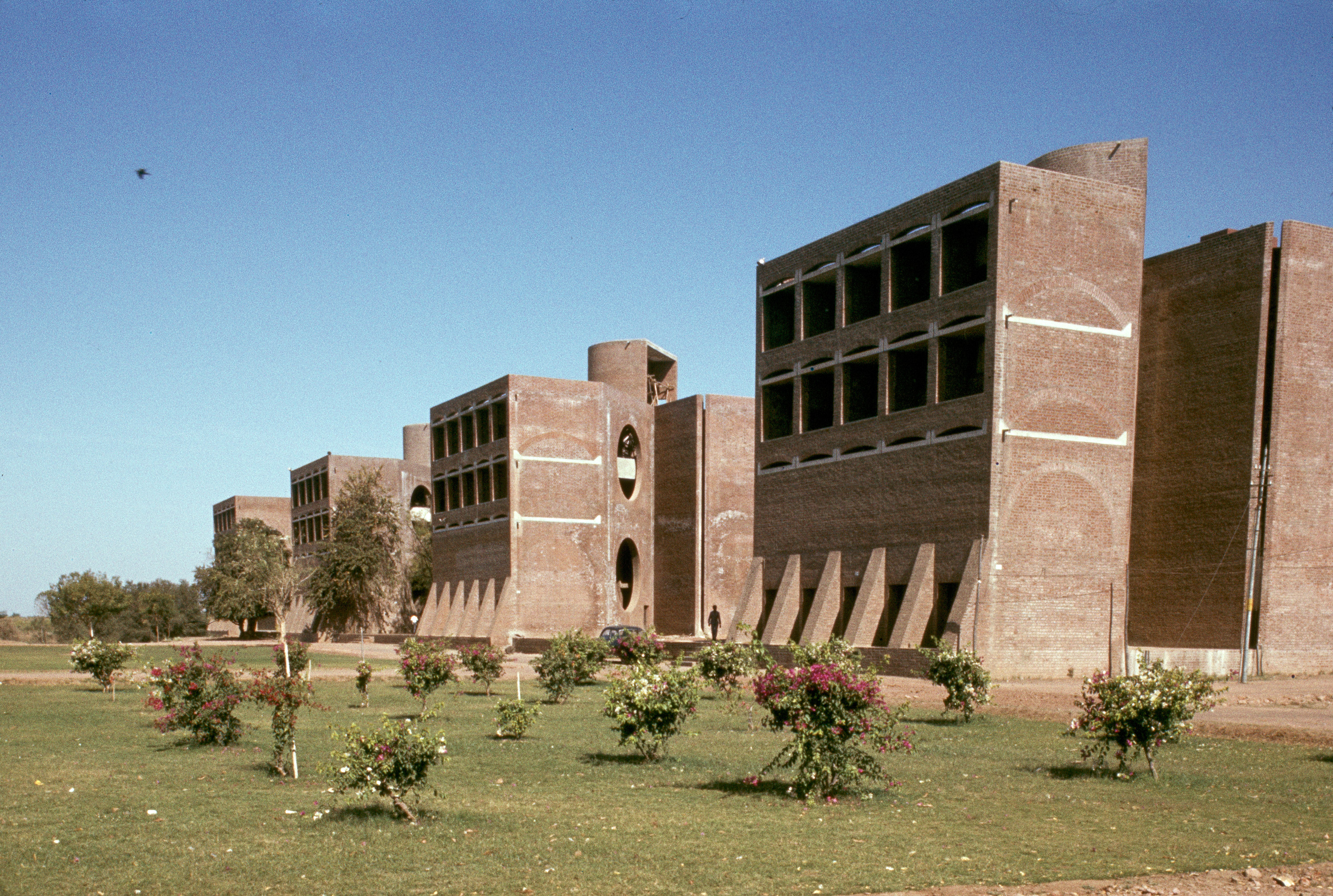 Indian institute of forex management